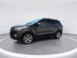 Used 2019 Ford Escape Titanium image 4