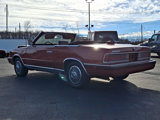 Used 1986 Chrysler LeBaron Convertible image 4
