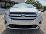 Used 2019 Ford Escape SE image 2