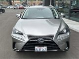 Used 2020 Lexus NX 300h AWD w/ Comfort Package image 3