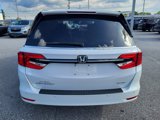 Certified 2024 Honda Odyssey Elite image 4