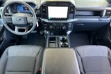 Certified 2024 Ford F150 STX w/ STX Black Appearance Package image 4