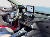 New 2025 Ford Escape ST-Line w/ Cold Weather Package image 5