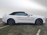 Used 2019 Ford Mustang GT image 6