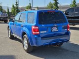 Used 2011 Ford Escape XLT w/ 202A Rapid Spec Order Code image 5