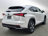 Used 2019 Lexus NX 300h AWD image 3
