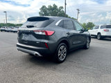 Used 2020 Ford Escape SEL image 6