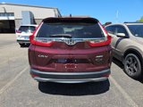 Used 2019 Honda CR-V EX image 5