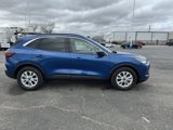 Used 2023 Ford Escape Active w/ Cold Weather Package image 4