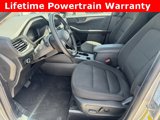 Used 2024 Ford Escape Active w/ Tech Pack #1 image 2