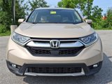 Used 2019 Honda CR-V EX image 2
