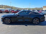 Used 2019 Ford Mustang Premium w/ Equipment Group 201A image 4