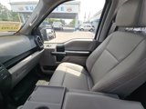 Certified 2019 Ford F150 XL w/ Equipment Group 101A Mid image 6