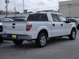 Used 2013 Ford F150 XLT image 3