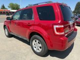 Used 2010 Ford Escape Limited image 4