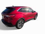 Used 2022 Ford Escape SEL w/ Technology Package image 4