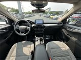 Certified 2020 Ford Escape SE image 3