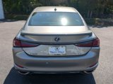 Used 2019 Lexus ES 350 F Sport w/ Accessory Package 2 image 5