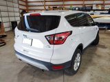 Used 2017 Ford Escape SE image 5