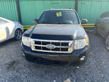 Used 2009 Ford Escape XLT image 2