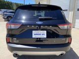 Used 2022 Ford Escape SE image 6