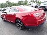 Used 2017 Ford Taurus SHO w/ Sho Performance Package image 5
