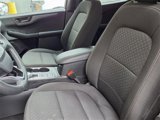Used 2024 Ford Escape Active image 5