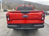 New 2024 Ford Ranger XLT w/ Trailer Tow Package image 6