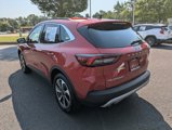 Used 2024 Ford Escape Platinum w/ Premium Technology Package image 6