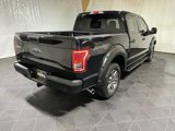 Used 2016 Ford F150 XLT w/ Equipment Group 302A Luxury image 5