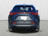 Certified 2024 Lexus NX 300h AWD w/ Vision Package image 6