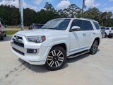 Used 2019 Toyota 4Runner Limited w/ Wilderness Package image 4