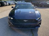 Used 2018 Ford Mustang Coupe w/ Ecoboost Performance Package image 3