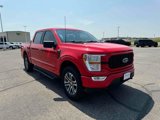 Used 2022 Ford F150 XL w/ STX Appearance Package image 3