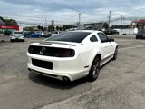 Used 2013 Ford Mustang Coupe w/ V6 Performance Pkg image 5