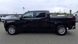 Used 2019 Chevrolet Silverado 1500 LT w/ All-Star Edition image 5