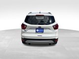 Used 2019 Ford Escape Titanium image 5