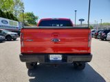 Used 2014 Ford F150 FX4 w/ Equipment Group 401A Mid image 6