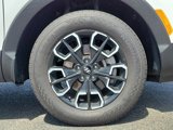 Used 2023 Hyundai Santa Cruz SEL Premium image 5