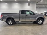 Used 2010 Ford F150 XL image 2