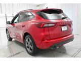 Used 2024 Ford Escape ST-Line w/ Tech Pack #1 image 5