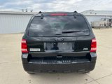 Used 2012 Ford Escape XLT image 4