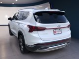 Used 2022 Hyundai Santa Fe SEL w/ Convenience + Premium Package image 3
