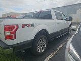 Used 2020 Ford F150 XLT w/ Equipment Group 302A Luxury image 3