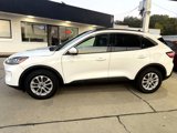 Used 2020 Ford Escape SE image 4
