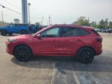 New 2024 Ford Escape ST-Line Elite w/ Premium Technology Package image 6