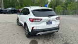 Certified 2020 Ford Escape SEL image 5