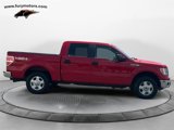 Used 2014 Ford F150 XLT image 2