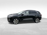 Used 2023 Ford Escape Platinum image 3