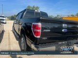 Used 2013 Ford F150 XLT w/ Luxury Equipment Group image 2